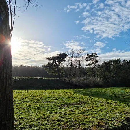 Waldhaus Doetlingen Ferienhaus Im Naturpark Extérieur photo