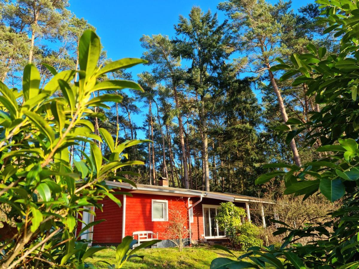 Waldhaus Im Naturpark Hébergement de vacances Dötlingen
