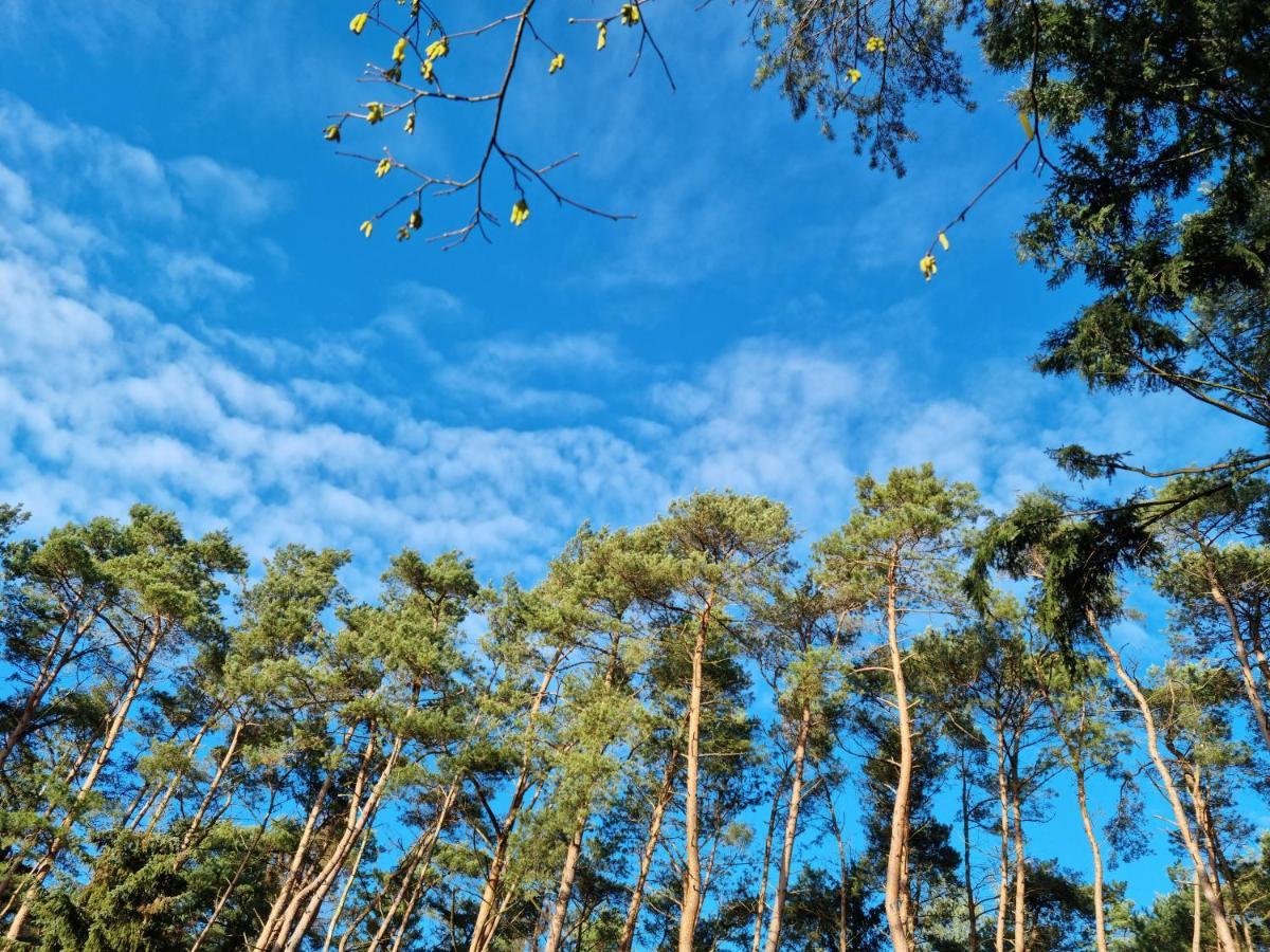 Hébergement de vacances Waldhaus Im Naturpark Dötlingen