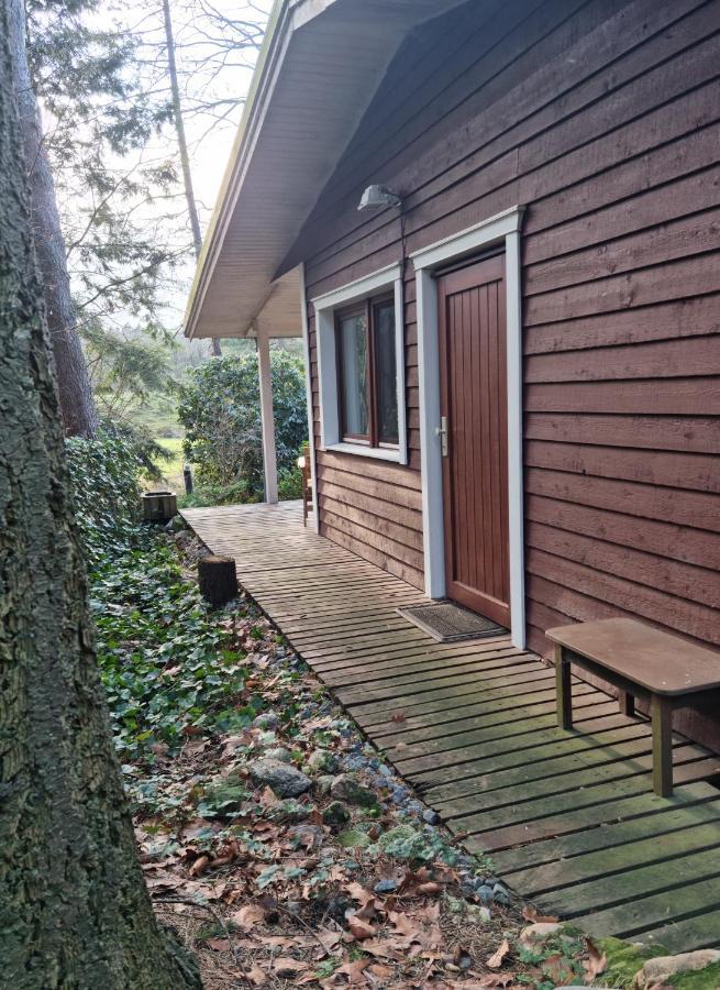 Hébergement de vacances Waldhaus Im Naturpark